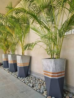 Planters and pots Concrete mixed 0