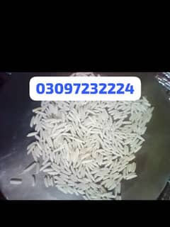 Super Rice Export Quality