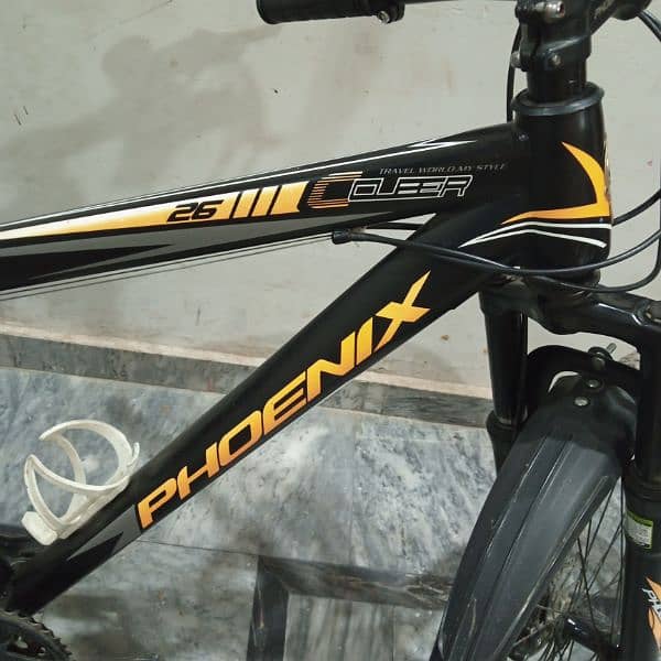 Pnonex Bycycle for sale 3