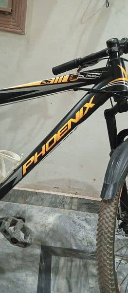 Pnonex Bycycle for sale 7