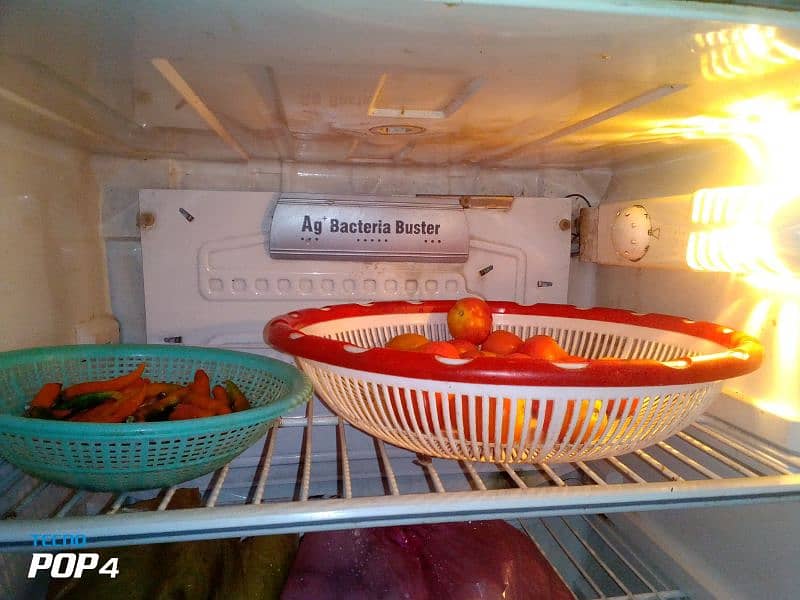 Pel Refrigerator 1