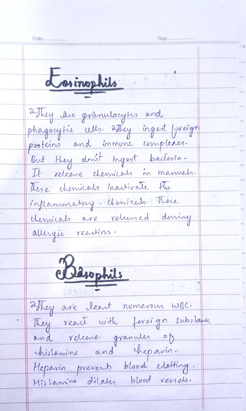 Handwriting assignment writer 5
