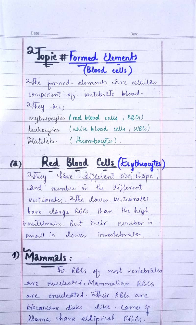 Handwriting assignment writer 14