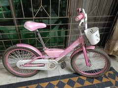 girls bicycle 0