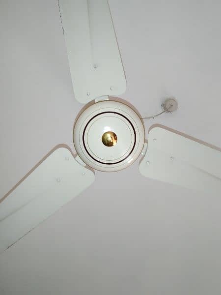 5 Ceiling Pak fans just like new in reasonable price 2