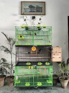 love birds, cockatiel, budgies with complete birds cage & plants setup