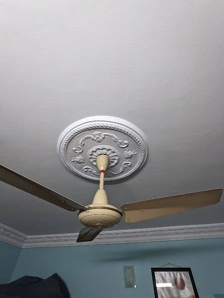 Ceiling Fan by Pak Fan 2