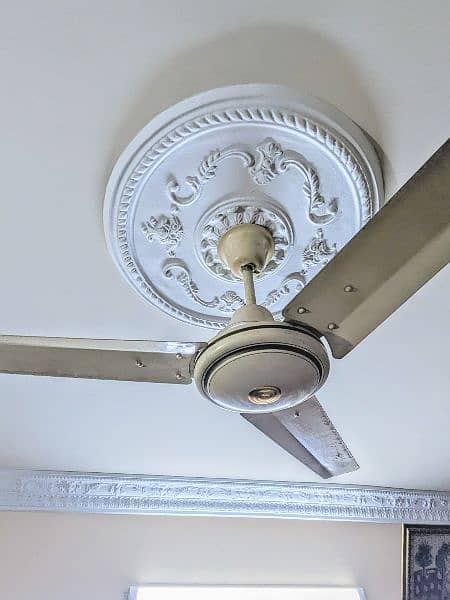 56" in Ceiling Fan 1