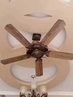 elegant & stylish 5blade perwaaz ceiling fan