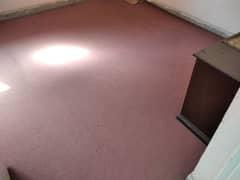 tea pink carpet for room 0