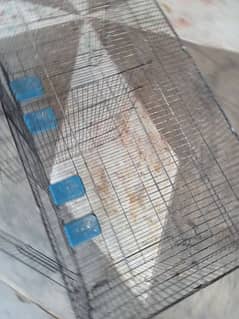 birds folding cage remove able portion.
