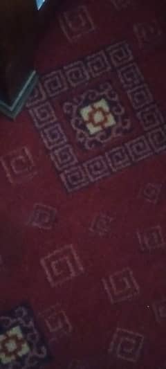 Red Printed Carpet 0