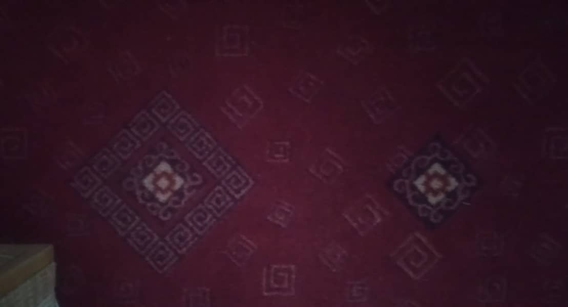 Red Printed Carpet 1