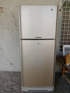 PEL desire Infinity refrigerator