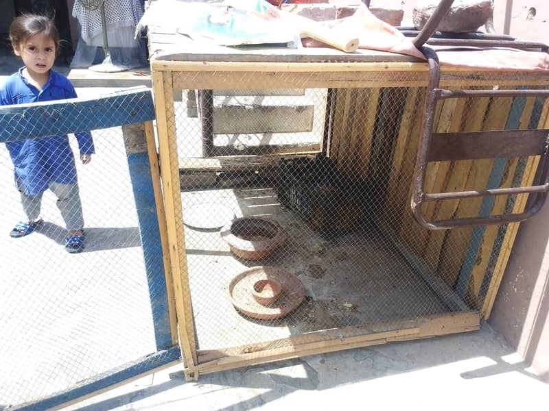 Wood hen cages 2