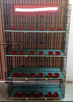 8 Portion cage for parrots