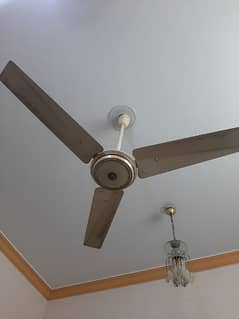 GFC In use Ceiling Fan 0