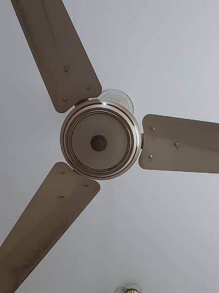GFC In use Ceiling Fan 1