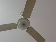GFC Used Fan