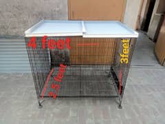African gray parrot gray parrot parrot cage fancy and breading