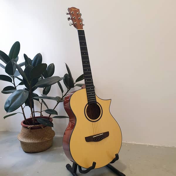 Original Deviser Handmade Acoustic Guitar 5