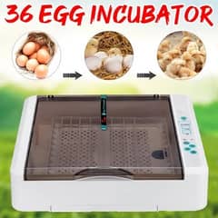 box pack 36 egg incubator