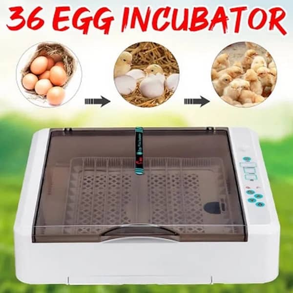 box pack 36 egg incubator 0