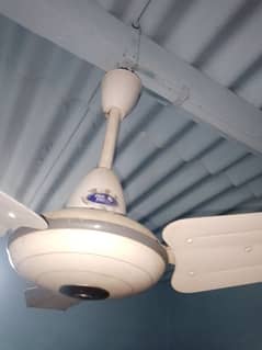 Pak Ceiling Fan