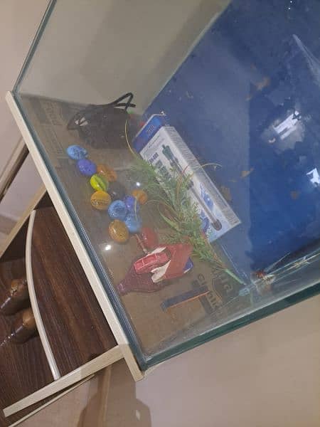fish aquarium with table stand 1
