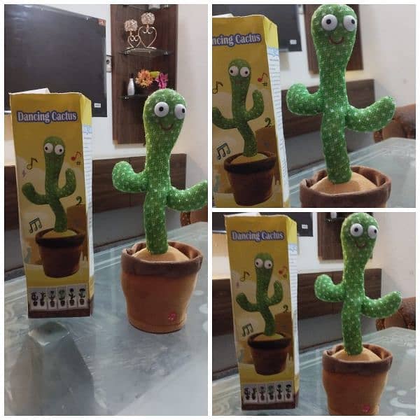 dancing cactus 1