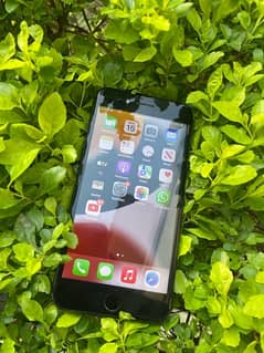iPhone 7 Plus 128gb PTA Approved 0