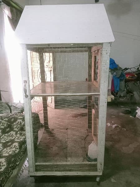 birds house and hens house for sale 4