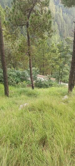 12 Kanal Land For Sale At Thandiyani Road Abbottabad 0