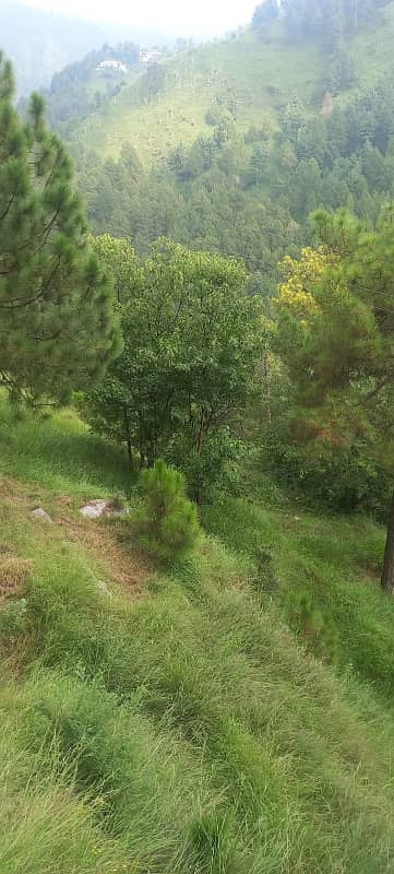 12 Kanal Land For Sale At Thandiyani Road Abbottabad 2
