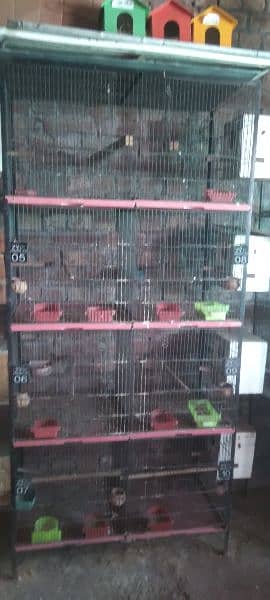 cages for sale 1