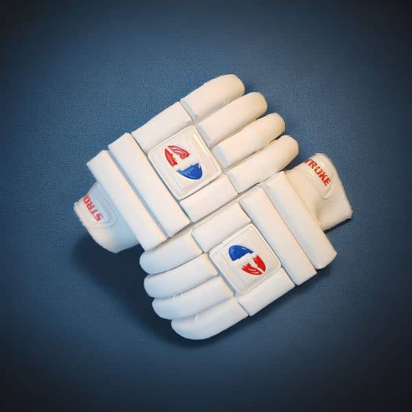 Cricket Batting Gloves (New) 2