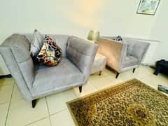sofa chairs for bedroom and lounge newly made