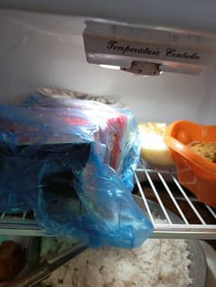 dwalence fridge