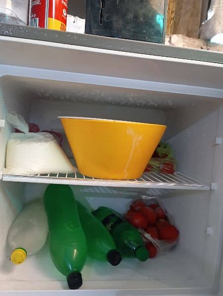 dwalence fridge 1