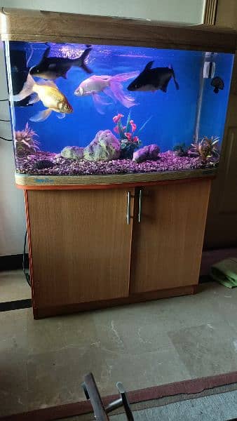 fish aquarium/aquarium/fish aquarium tank 2