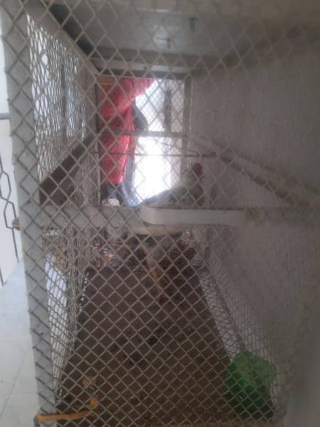 cage aur full hen piar  also for selll heavy iron cage hai 1