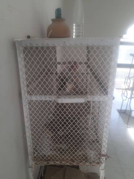 cage aur full hen piar  also for selll heavy iron cage hai 2