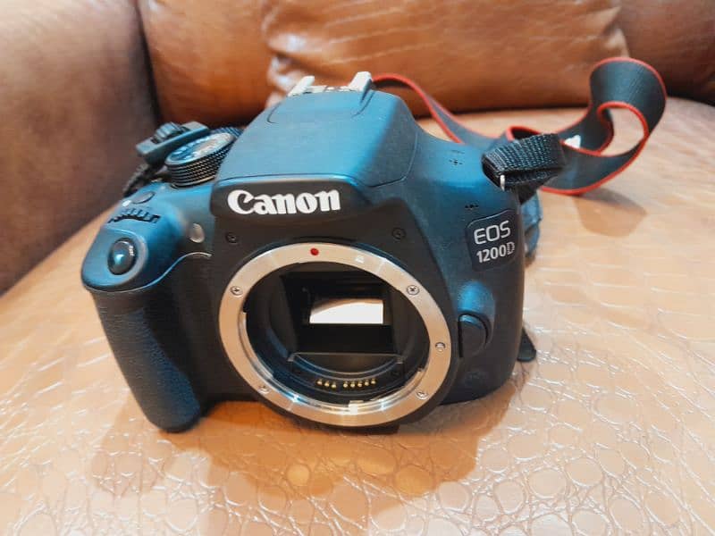 Canon DSLR 1200D with Accesrious and carrybeg like brand new condition 2