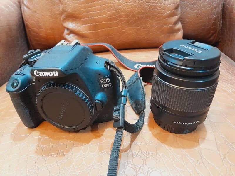 Canon DSLR 1200D with Accesrious and carrybeg like brand new condition 4