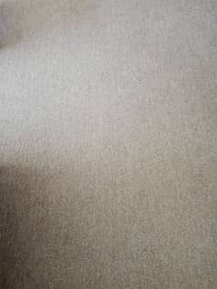 carpet beige colour