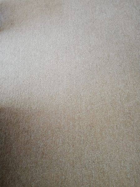 carpet beige colour 0
