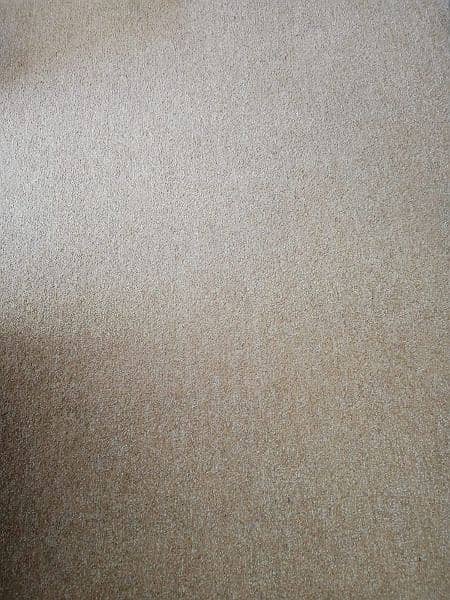 carpet beige colour 1