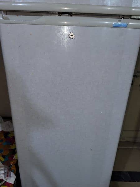 PEL fridge 1