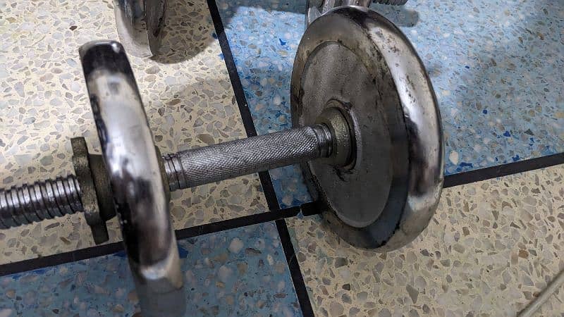 Dumbells Imported plates and Rod 1