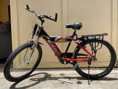 Mountain bicycle for teens/adults